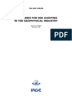 Guidelines_for_Hse_Auditing.pdf