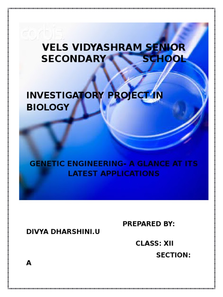 Genetic Engineering: Applications & Impact | PDF | Genetically Modified ...