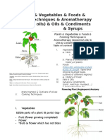 Plants & Vegetables & Foods & Cooking Techniques & Aromatherapy (Essential Oils) & Oils & Condiments & Syrups