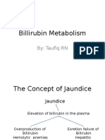 1.billirubin Metabolism