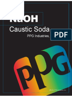 PPG_CausticSodamanual2008.pdf