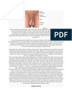 106444466-Tumor-Testis.docx