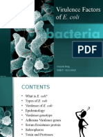 Virulence Factor of E. Coli