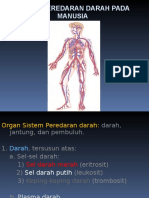 8 Sistem Peredaran Darah Solo NK