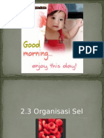 2.3 Organisasi Sel