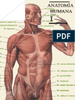 Anatomia Humana Tomo1 Archivo1