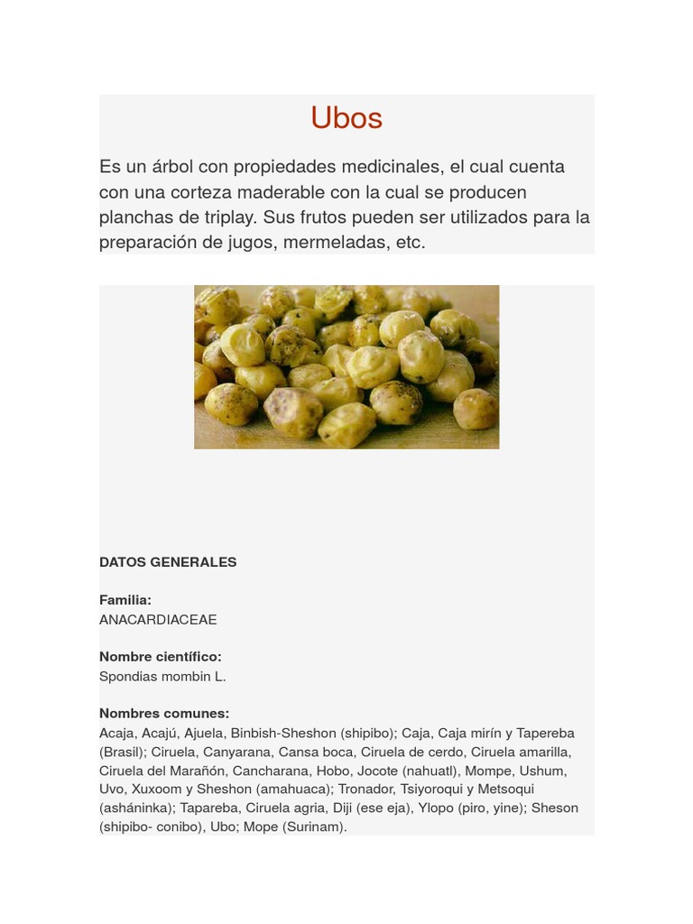 Ubos | Plantas | Horticultura y jardinería