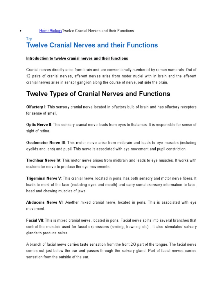 Functions of the 12 Cranial Nerves | PDF | Animal Anatomy | Human Anatomy