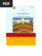 Core Analysis Manual
