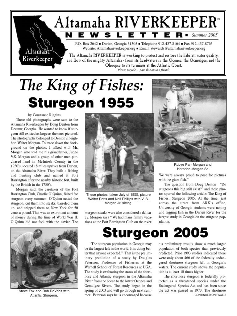 Summer 2005 Altamaha Riverkeeper PDF Stormwater Nature