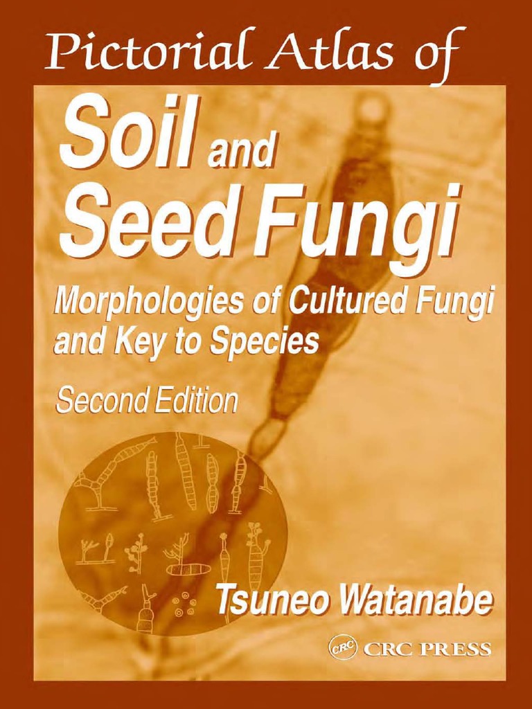 Soil and Seed Fungi PDF | PDF | Fungus | Plant Pathology
