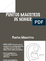 Puntos Maestros