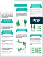 Silvicultura Preventiva PDF