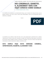 Adios Derrames Cerebrales, Diabetes, Hipertensión, Alzheimer y Más Con Esta Simple Hoja! Conoce Como Usarla!