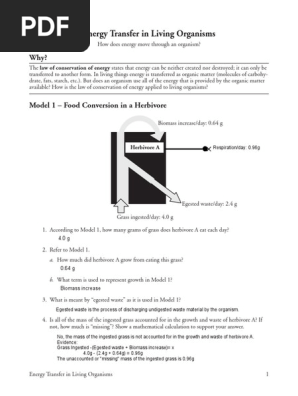 25 Energy Transfer In Living Anisms Swith Manuel Tzul Pdf Cellular Respiration Nature