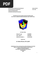 Download K3 Pada Petugas Laboratorium Kesehatan by MufidAljaru SN319400606 doc pdf