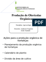 Produção de Olericolas Organicas