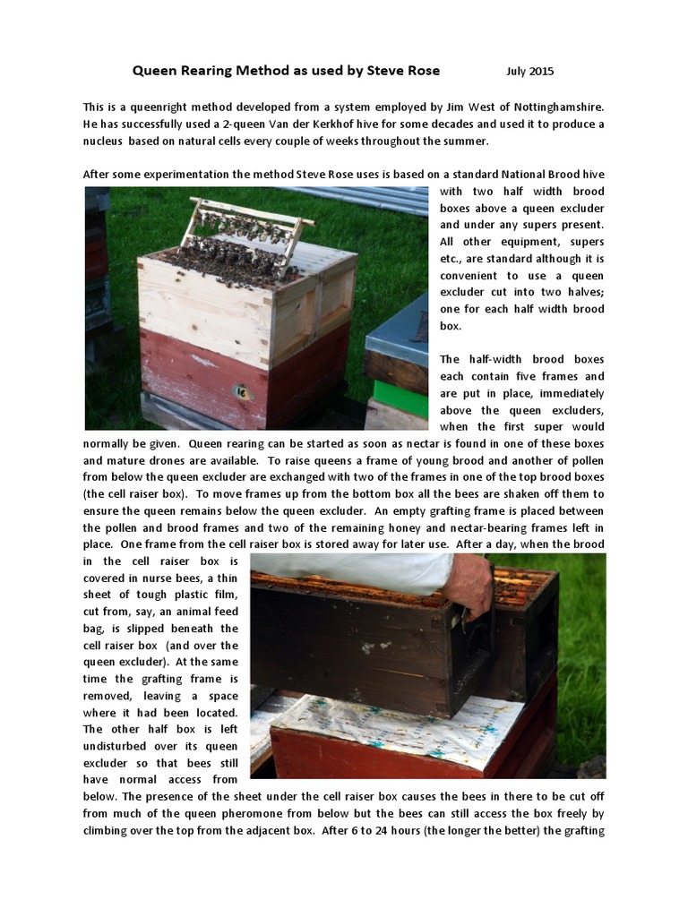 Queen Rearing Method Steve Rose July 2015 | PDF | Agriculturally ...
