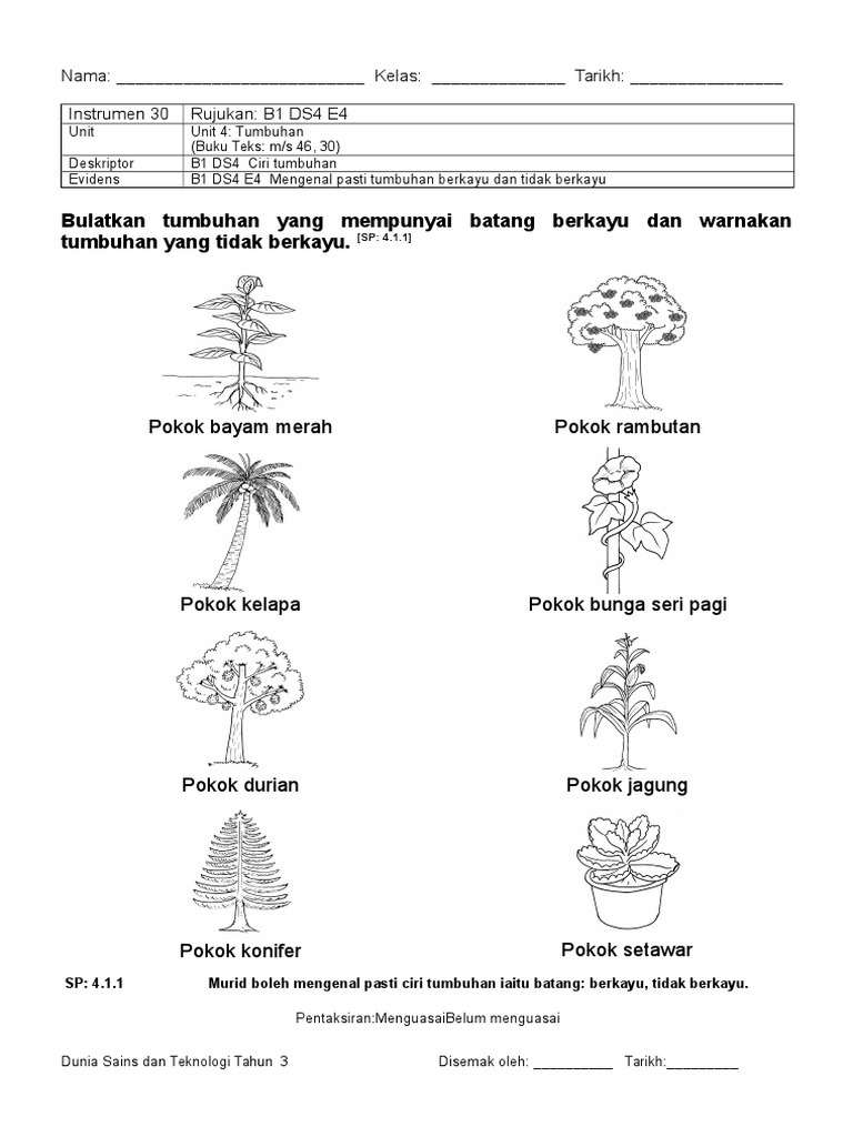Sains Tahun 3 Pdf