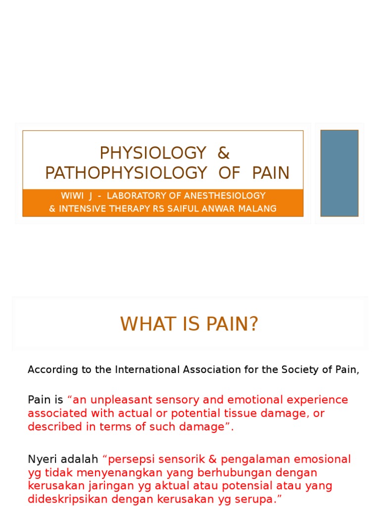 Understanding Pain: Types and Pathophysiology | PDF | Pain | Nervous System