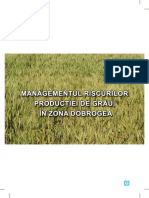 Managementul Riscurilor Productiei de Grau in Zona Dobrogea PDF