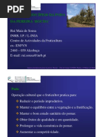 Principios de Poda - Pereira Rocha