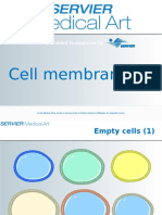 Cell Membrane: A Service Provided To Medicine by A Service Provided To Medicine by