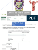 Cáncer de Cuello Uterino y Embarazo