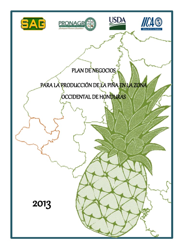 Plan de Negocios para La Produccion y Comercializacion de Pina en El ...