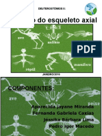 Evolução Do Esqueleto Axial