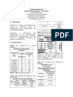 Identificacion de Carbohidratos Reductores