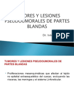 Tumores y Lesiones Pseudoumorales de Partes Blandas-2