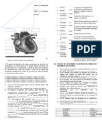 Evaluacion de Sistema Circulatorio y Linfatico Grado Noveno Iete 2016 Docente Diana Burbano
