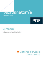 Neuroanatomía. Introducción