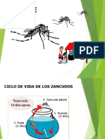 Dengue 