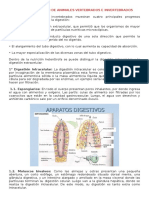 Sistema Digestivo de Animales Vertebrados e Invertebrados