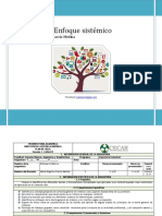 PLAN de AULA - Enfoque Sistemico