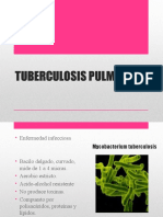 Tuberculosis Pulmonar