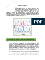 Electrocardiograma