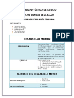 DESARROLLO MOTRIZ.docx