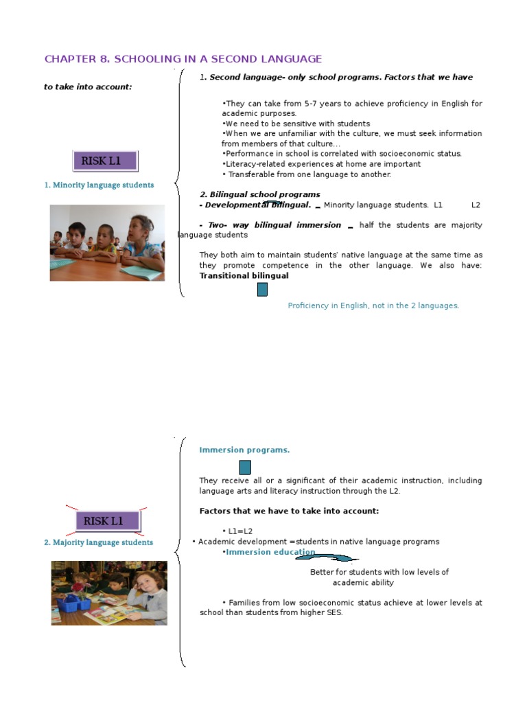 Bilingual Education Strategies and Challenges | PDF | Language Arts ...