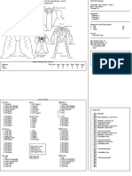 PNT-9R Panther BattleTech Record Sheet