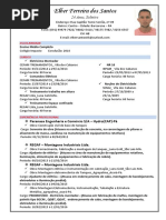 CURRICULUM VITAE - Elber Ferreira dos Santos rev02.pdf