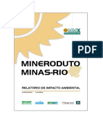 RIMA Mineroduto Minas-Rio