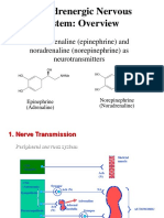 adrenergicnervoussystem.ppt