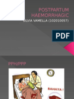 Postpartum Haemorrhagic