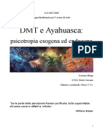 DMT e Ayahuasca