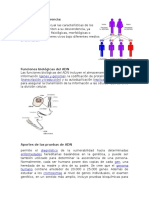 Patrones de La Herencia