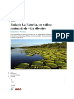 Bañados PDF