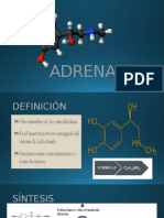 ADRENALINA.pptx